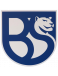 Union Brescia